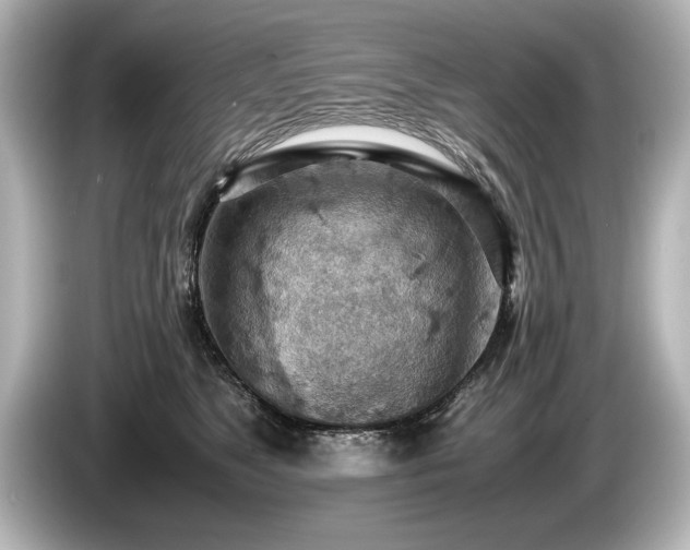 X0000085750517200703161057