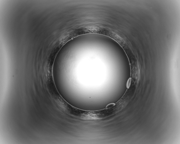 X0000085750518200703161057