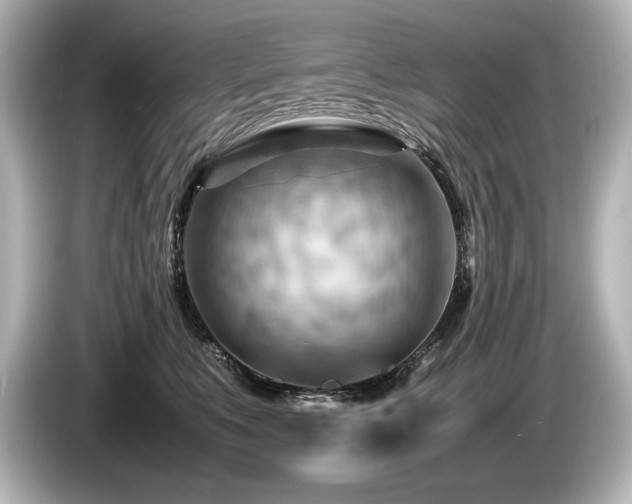 X0000085750519200703161057