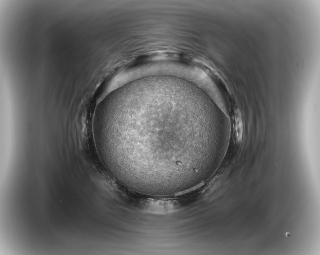 X0000085750520200703161057