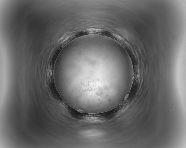 X0000085750523200703161057