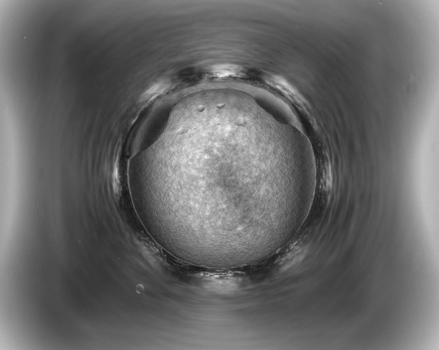 X0000085750524200703161057