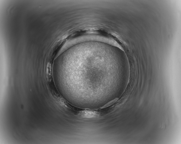 X0000085750528200703161057