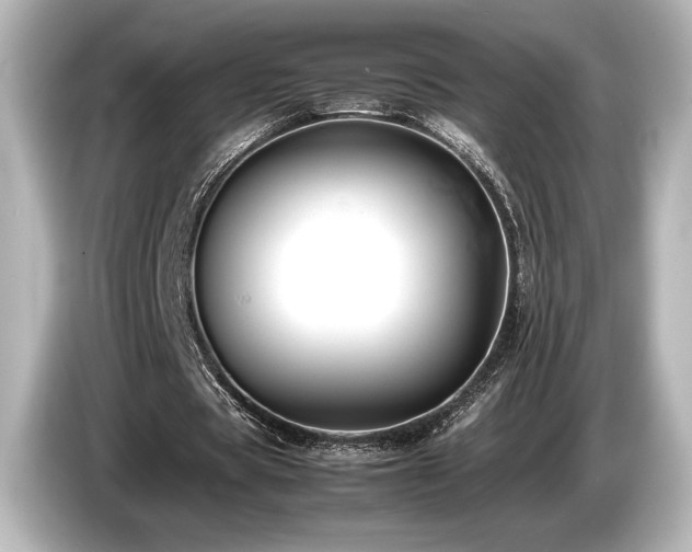 X0000085750529200703161056