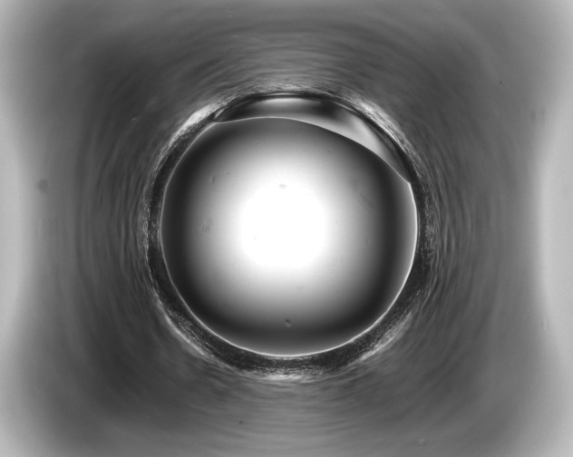 X0000085750530200703161056
