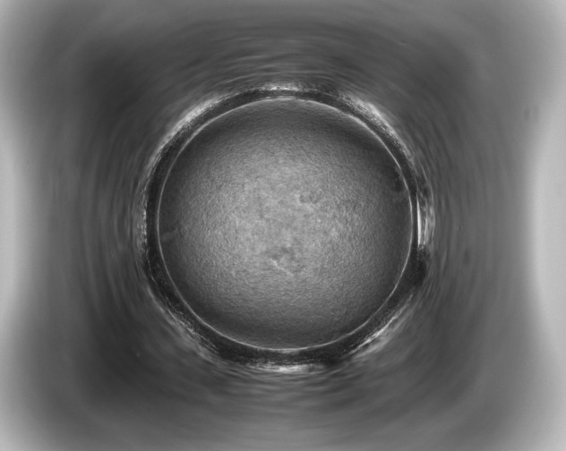 X0000085750531200703161057