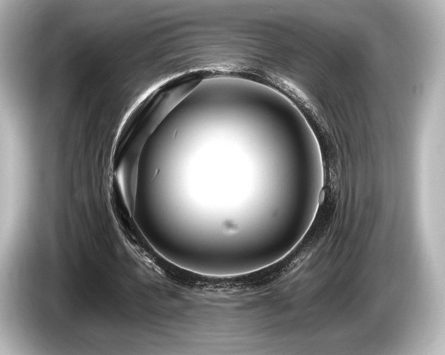 X0000085750532200703161057