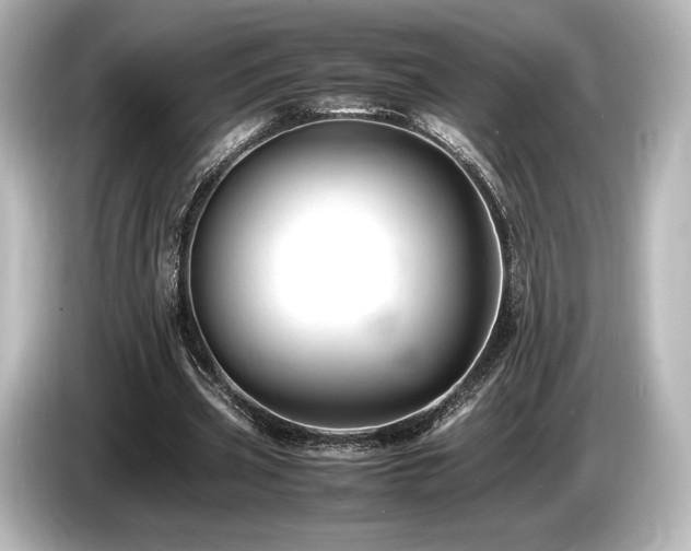 X0000085750533200703161057