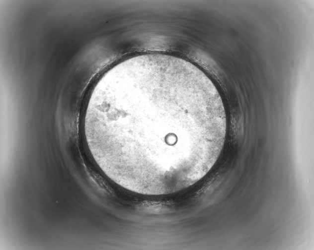 X0000085750534200703161057