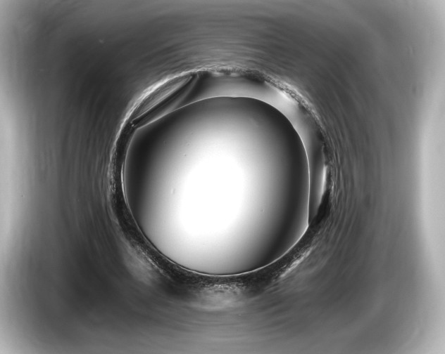 X0000085750536200703161057