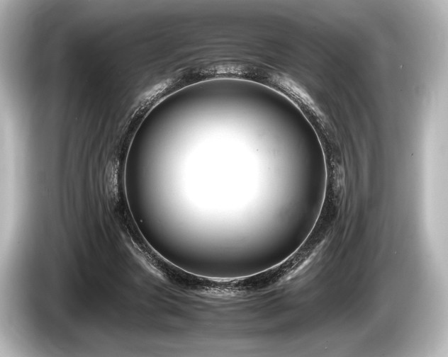 X0000085750537200703161057