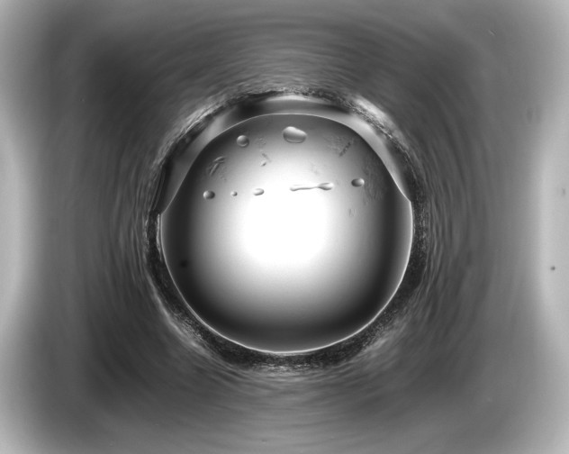X0000085750538200703161057