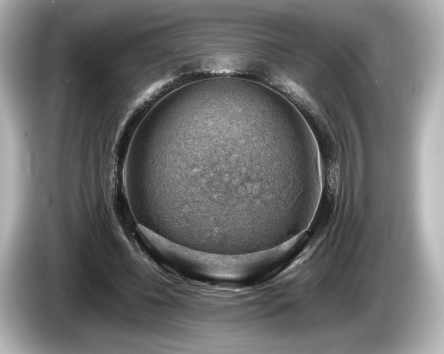 X0000085750540200703161057