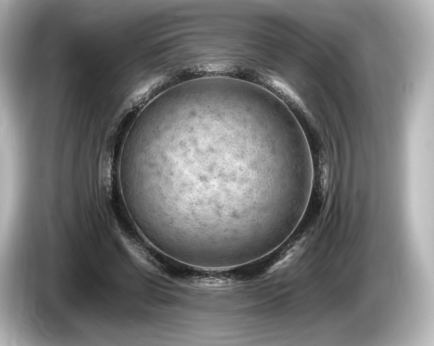 X0000085750542200703161057
