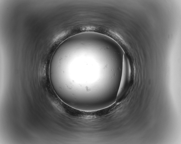 X0000085750543200703161057