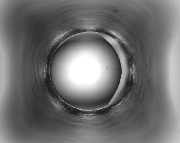 X0000085750544200703161057
