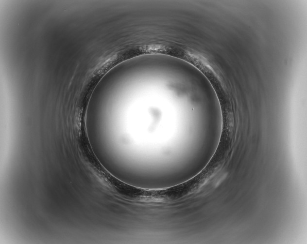 X0000085750545200703161057