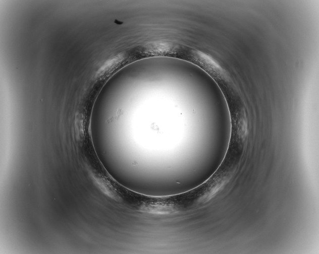 X0000085750546200703161057