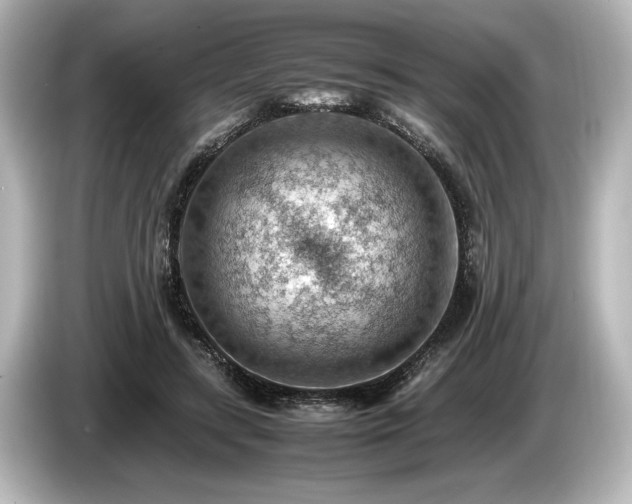 X0000085750547200703161057