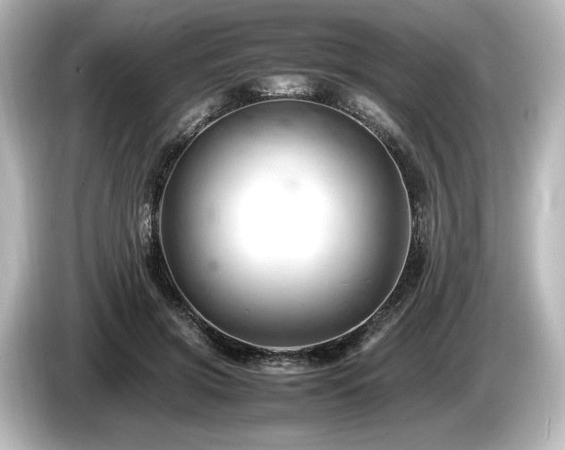 X0000085750549200703161057