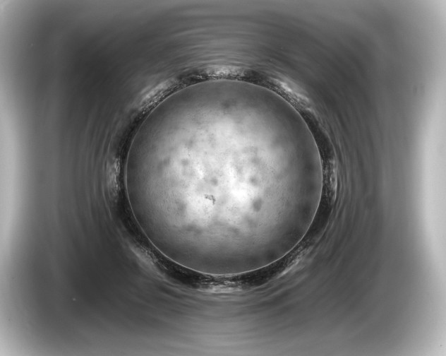 X0000085750550200703161057