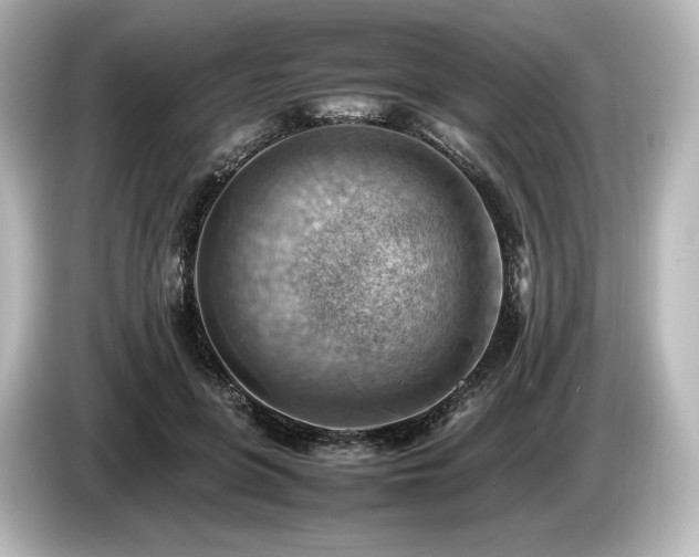 X0000085750551200703161057