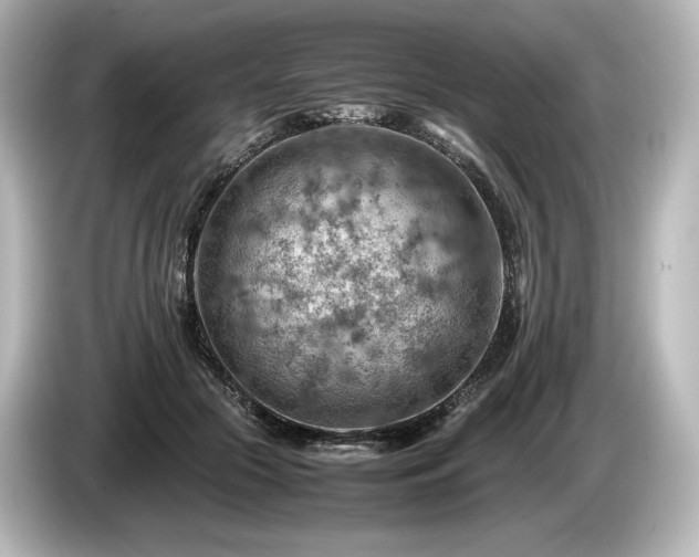 X0000085750553200703161057
