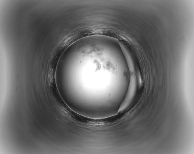 X0000085750554200703161057