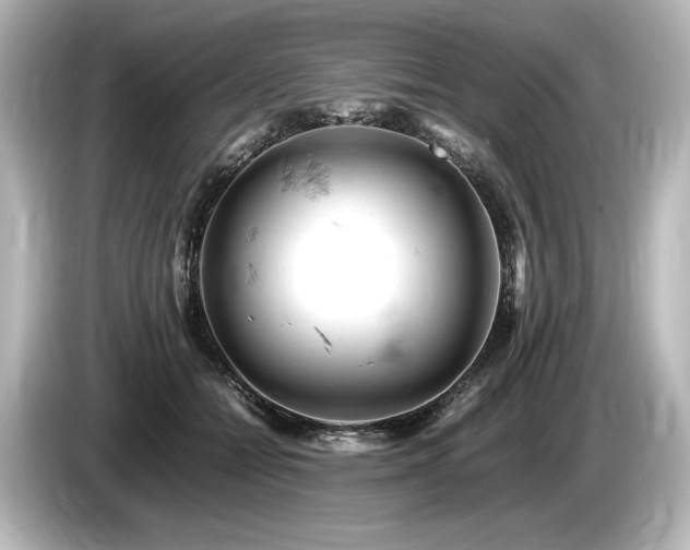 X0000085750558200703161057