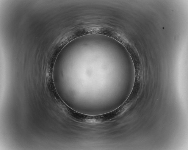 X0000085750561200703161057