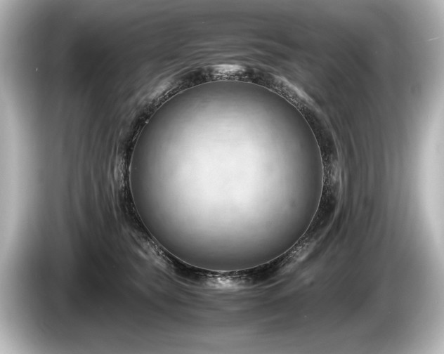 X0000085750565200703161057