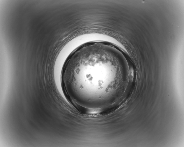 X0000085750566200703161057