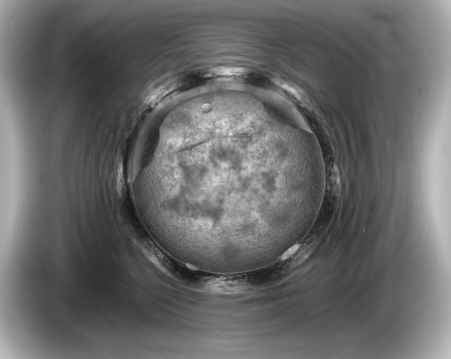 X0000085750568200703161057