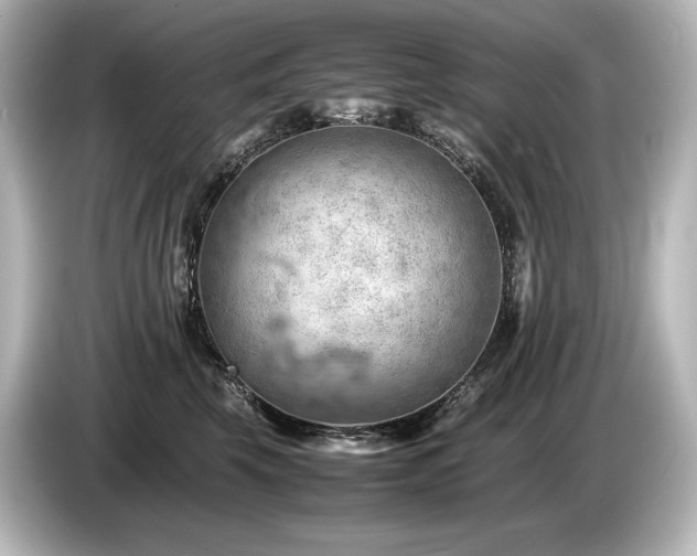 X0000085750569200703161057