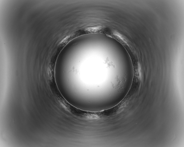 X0000085750572200703161057