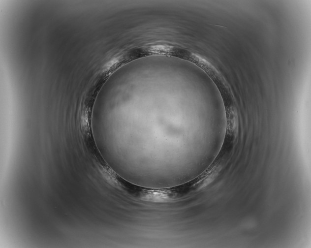 X0000085750573200703161057
