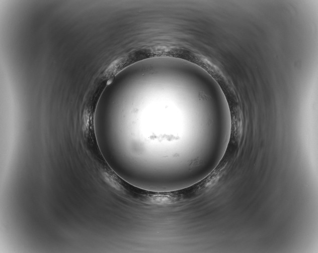 X0000085750574200703161057