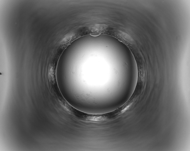 X0000085750575200703161057