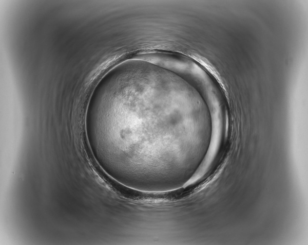 X0000085750577200703161056