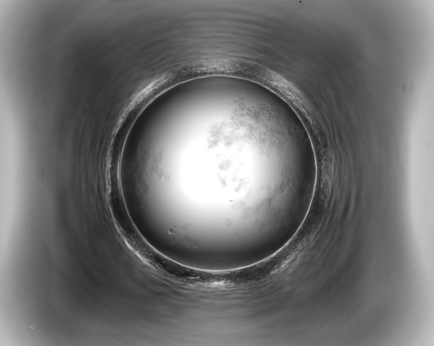 X0000085750578200703161056