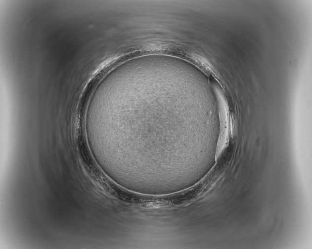 X0000085750579200703161056