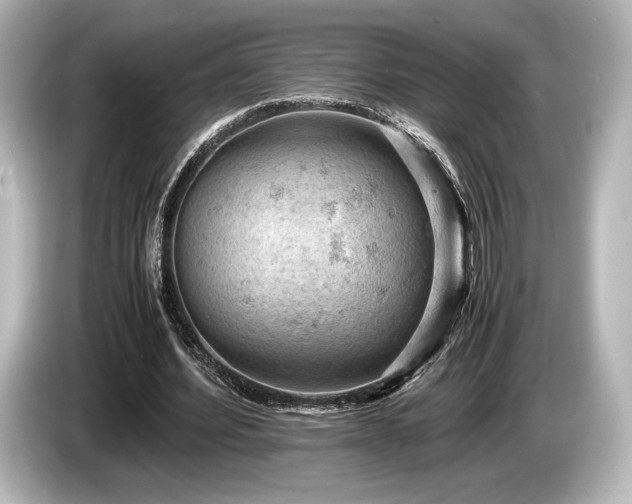 X0000085750580200703161056