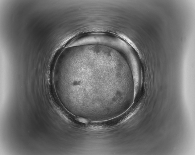 X0000085750581200703161056