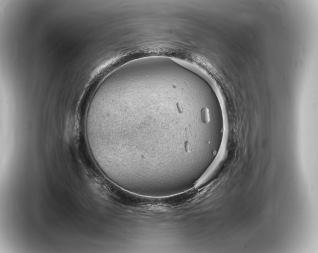 X0000085750583200703161056