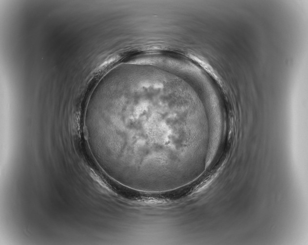 X0000085750585200703161056