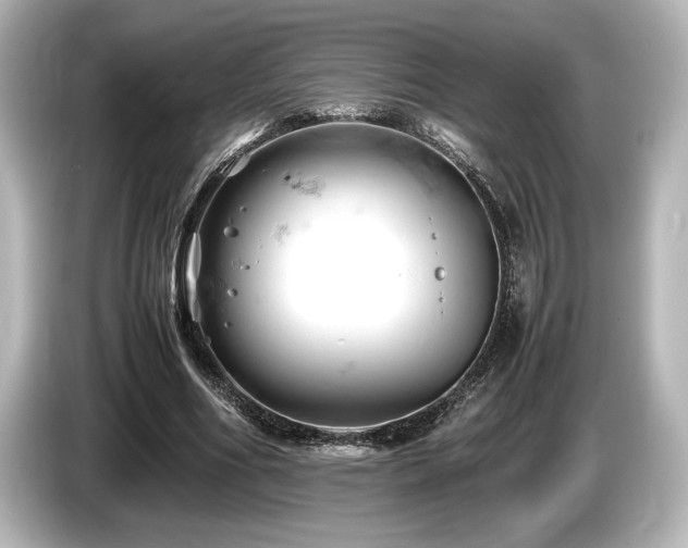 X0000085750586200703161056