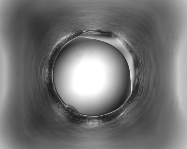 X0000085750587200703161056