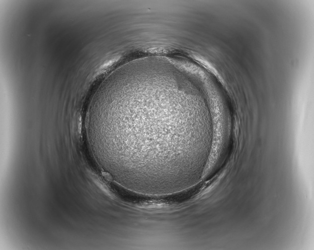 X0000085750589200703161056