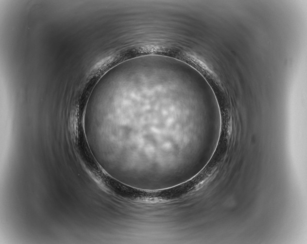X0000085750590200703161056