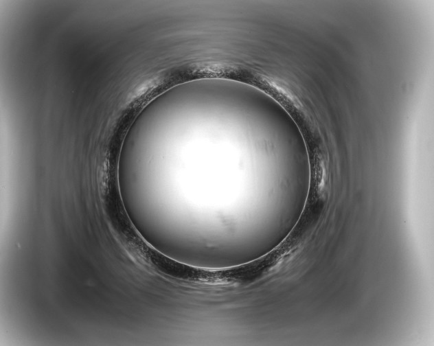 X0000085750591200703161056